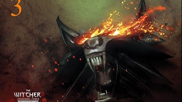 The Witcher 2 Enhanced Edition Modded Blind, Hard Prologue Part 3