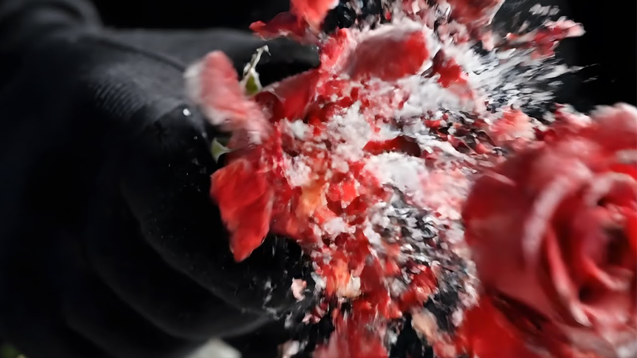 20 Mins of Pure Satisfaction! 🌹🔪 ASMR Cutting Compilation (Rose, Honeycomb, Jelly)