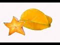 ЗВЕЗДНЫЙ  ФРУКТ  КАРАМБОЛА и НАШ УРОЖАЙ 2017 !!!  STAR FRUIT CARAMBOLA