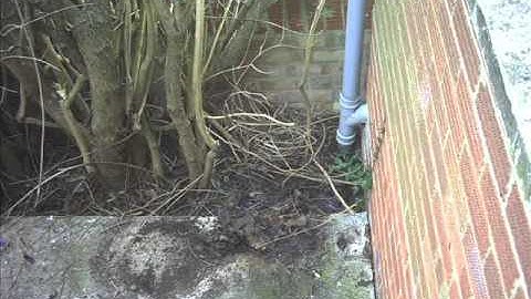 Trial pit to determine soil conditions and foundation detail