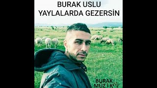 BURAK USLU = YAYLALARDA GEZERSİN ©2019 Resimi