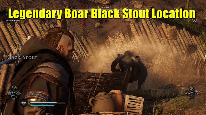 Where to Find Legendary Boar Black Stout Location in Wrath of the Druids DLC Assassin's Creed Valhal