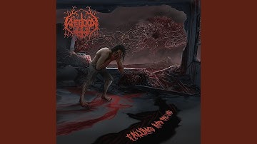 Falling Into The Void