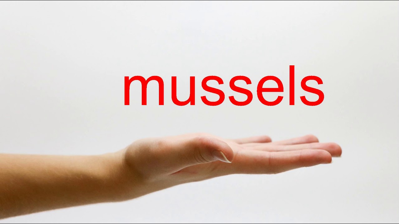 How to Pronounce mussels American English YouTube