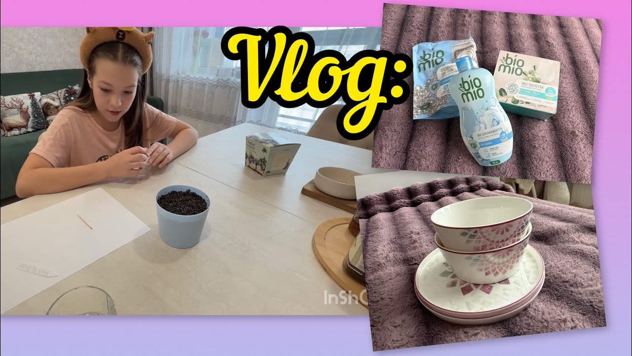 Vlog: Новая кофта/ покупки на Озон/ сажаем живые камни когда появятся всходы 🌱 