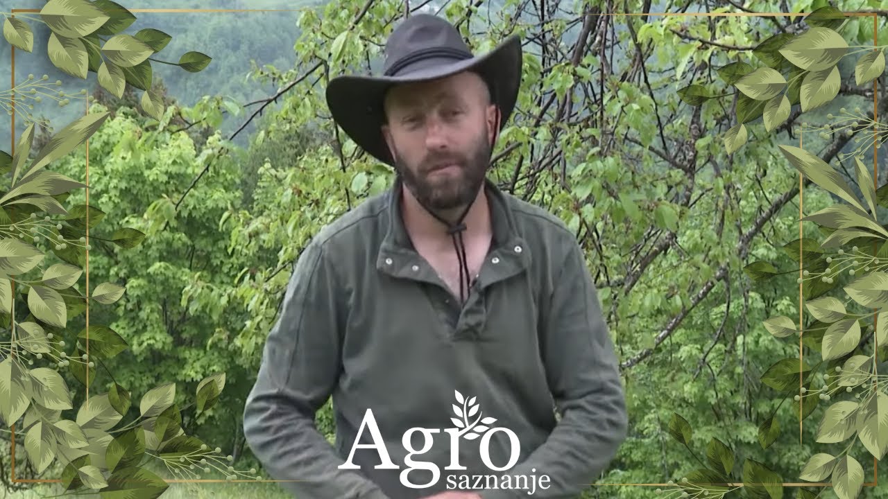 AGROSAZNANJE - Sead Redžematović vratio se iz Amerike, sada je u  Plavu uspješan farmer