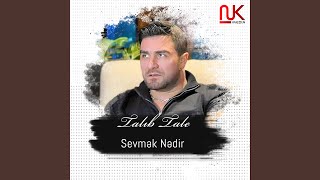 Sevmək Nədir - Talıb Tale
