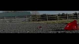 SloMo Jello Falling