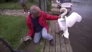 Top Buzz60 Moments September 2014