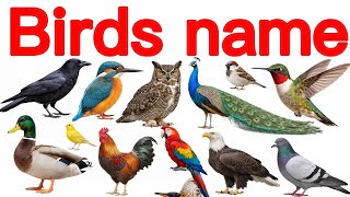 Birds Name in English and Hindi | पक्षियों के नाम | Learn Birds for Kids