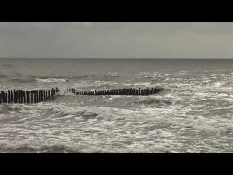 ამინდის პროგნოზი 12 07 21