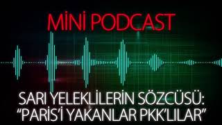 Mp - Sarı Yeleklilerin Sözcüsü: \