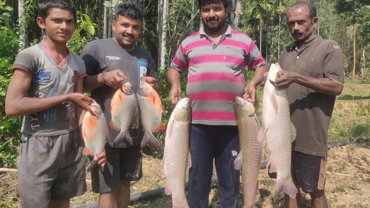 Fish Harvest | ಮೀನು ಕೊಯ್ಲು | ಮೀನು ಕೃಷಿಯಲ್ಲಿ ಯಶಸ್ವಿಯಾದ ಲಿತೇಜ್ | Fish farming