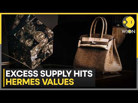 Hermes Birkin Bags Resale Prices Drop Over $6,000 From Peak | WION News