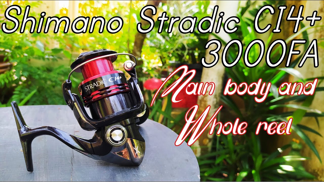 Shimano Stradic CI4+ 3000FA - Part 3 Reassembling Main body and Whole Reel  - Reel servicing 