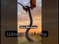 Udne Wala Saanp, Flying Snake #snake #flyingsnake #shorts