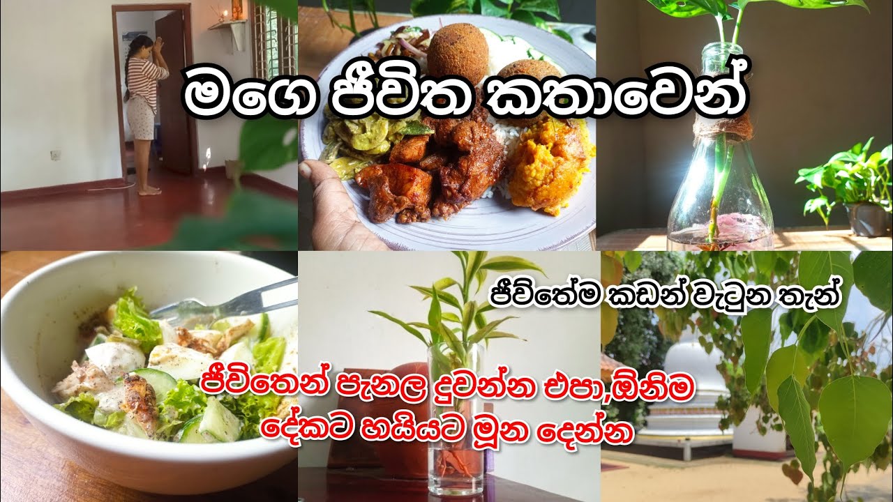 අවුරුද්දෙන් පස්සෙ ගෙවුන සතුටුම දවසක් එක්ක, ඔයාල මගෙන් ඉල්ලපු Q & A එක 🤱👰😊✍️🧚‍♂️