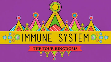 Your Immune System: Natural Born Killer - Crash Course Biology #32