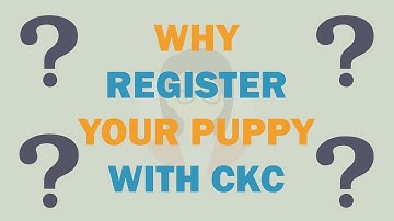 Why Register Your Puppy with Continental Kennel Club?