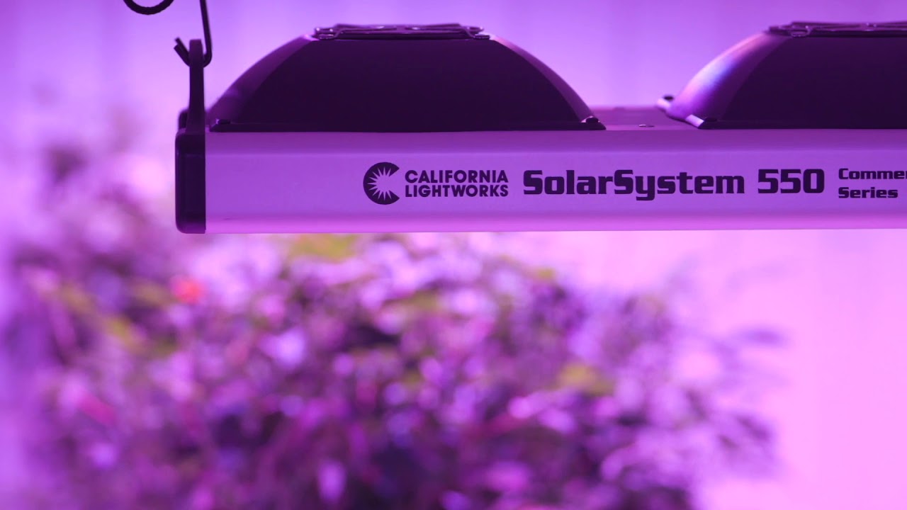 Serious Lights for Serious Growers - Smart Commercial Indoor LED Grow Lights