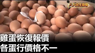 雞蛋恢復報價 各蛋行價格不一 |【民生八方事】| 2023042404 @gtvnews27
