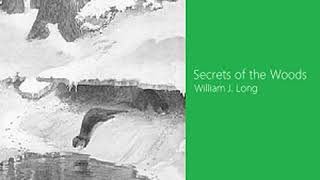 Secrets of the Woods by William J. LONG read by Various | Full Audio Book