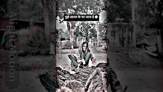 New timli status video WhatsApp status timli dj remix songs 🤩 timli status 2025 #musicremix