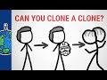 Challenges and Concepts in Cloning