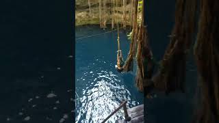 The best flip ever recorded