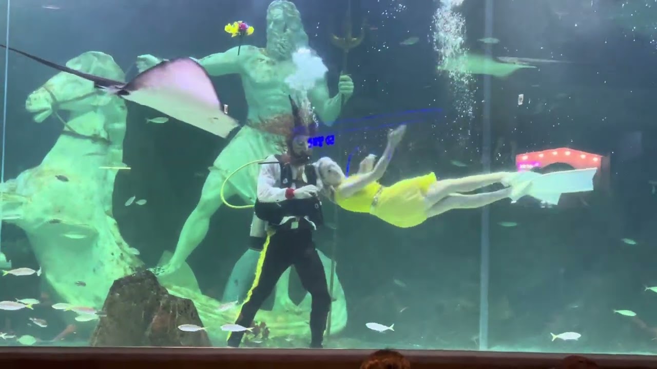 대전 엑스포 아쿠아리움 미녀와 야수