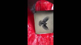 Tintype Demonstration By Cole Caswell Agno3Lab