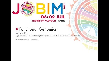 JOBIM2021 - Functional Genomics - Yaqun Liu