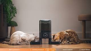 Program Tutorial for Oneisall PF11  Pet Feeder with 2 Cameras