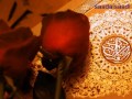 تلاوة بصوت الشيخ عبدالرحمن العدني القائم على دار الحديث السلفية بالفيوش
