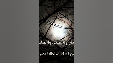 سورة الإسراء من القارئ ماهر المعيقلي 🤍||#سورة_الإسراء #ماهر_المعيقلي #quran