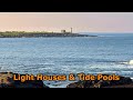 Southern Maine Coastal Hike - Eastern Point Sanctuary