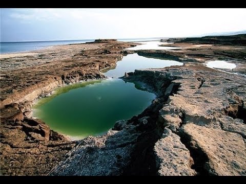 Классный фильм! Дикий мир реки Иордан. Документальные фильмы, фильмы про животных