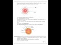 Grade 7 Integrated Science Notes (PDF)