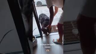 Celebrity Alex Telles Reunites With His Dog After Being Away For A Month 🐶 Profile