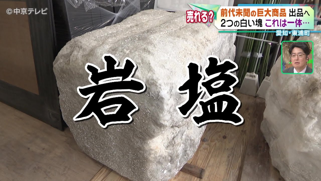 誰か買って！巨大な岩塩】“550万円”だけど不用品？ 愛知・東浦町
