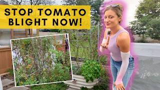 Do this to manage leaf spot & blight in small gardens where crop rotation isn't practical!
