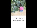 水系エマルジョン塗料　アクリジョン筆塗りのポイント