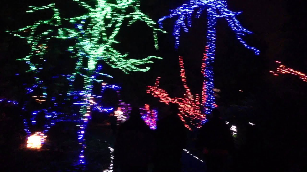 Christmas Lights at the Grotto in Portland Oregon YouTube