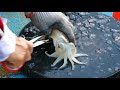 Cutting Live Cuttlefish in Sai Kung Seafood Market, Hong Kong. Skillful & Unskillful