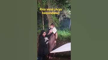Arya kamandanu ( Tutur Tinular )