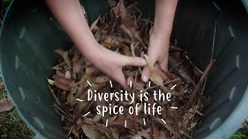 How to Manage your Compost Bin