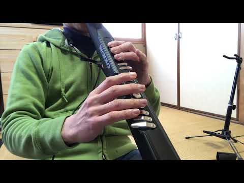EWI5000で「小さな恋のうた / MONGOL800」を吹いてみた