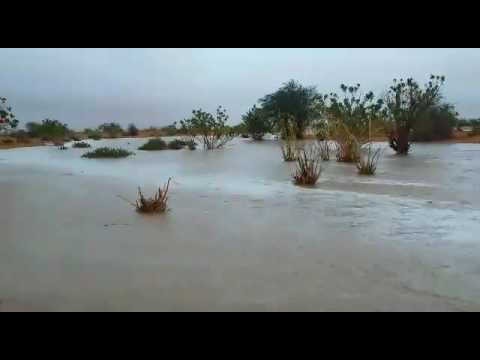 رحلة العمده ناصر وعبدالله بن حوزان ال روق