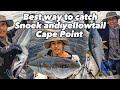 Snoek and yellowtail fishing at cape point south africa