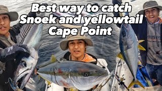 Snoek and Yellowtail Fishing at Cape Point South Africa
